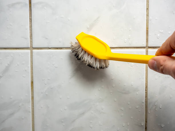 Best DIY Mold Remediation Support Services in , SD